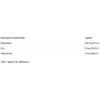 Composition CHELA-ZMB magnésium zinc vitamine B6