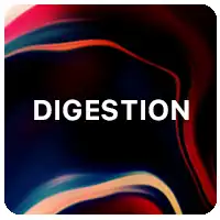 Digestion